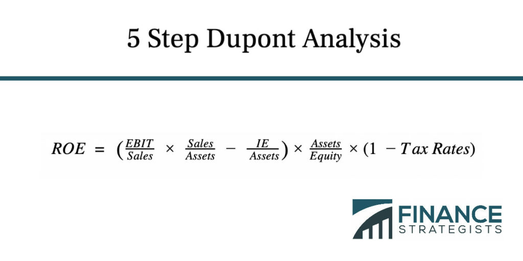 5 Step Dupont Analysis