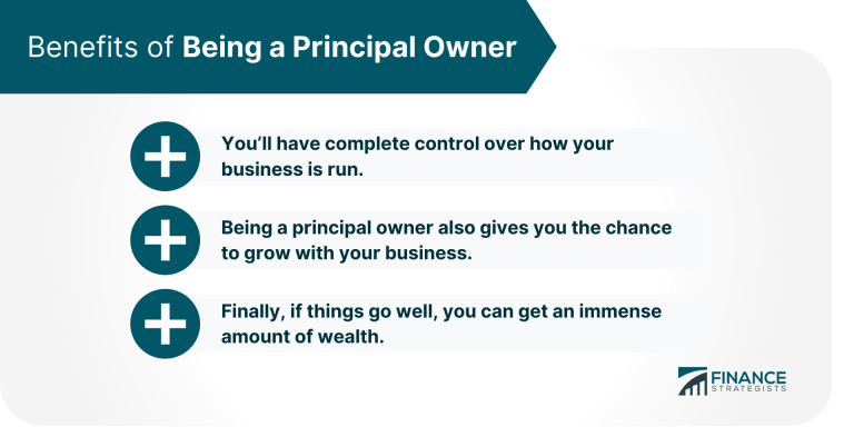 consultant principal vs principle